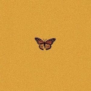 Meet your Posher, Izabelle